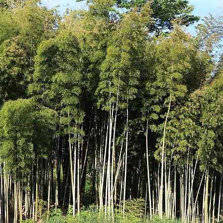 ホテル ささやかな宿・富津 でっかく仲間と58畳の大広間に泊まる エクステリア 写真